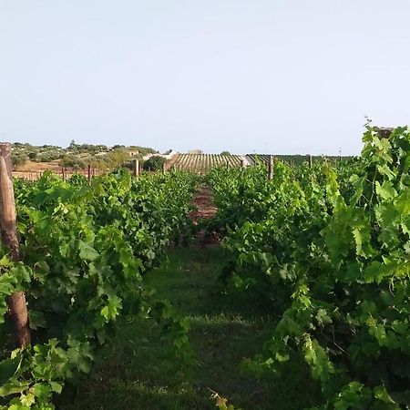 Cozzo del Parroco - Ospitalità in campagna Vila Granelli Exterior foto