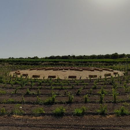 Cozzo del Parroco - Ospitalità in campagna Vila Granelli Exterior foto