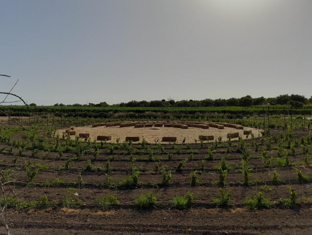 Cozzo del Parroco - Ospitalità in campagna Vila Granelli Exterior foto